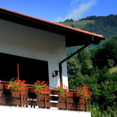 Spa Hotel Planinata Ribarica Ruang foto