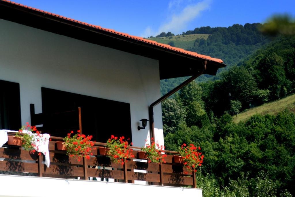 Spa Hotel Planinata Ribarica Ruang foto