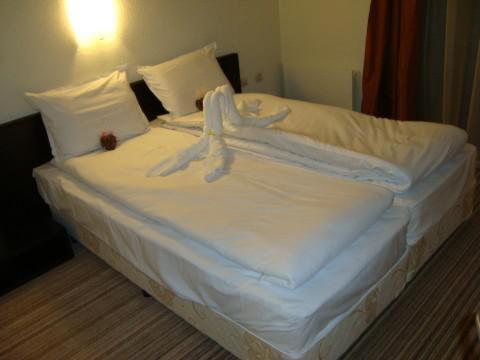 Spa Hotel Planinata Ribarica Ruang foto
